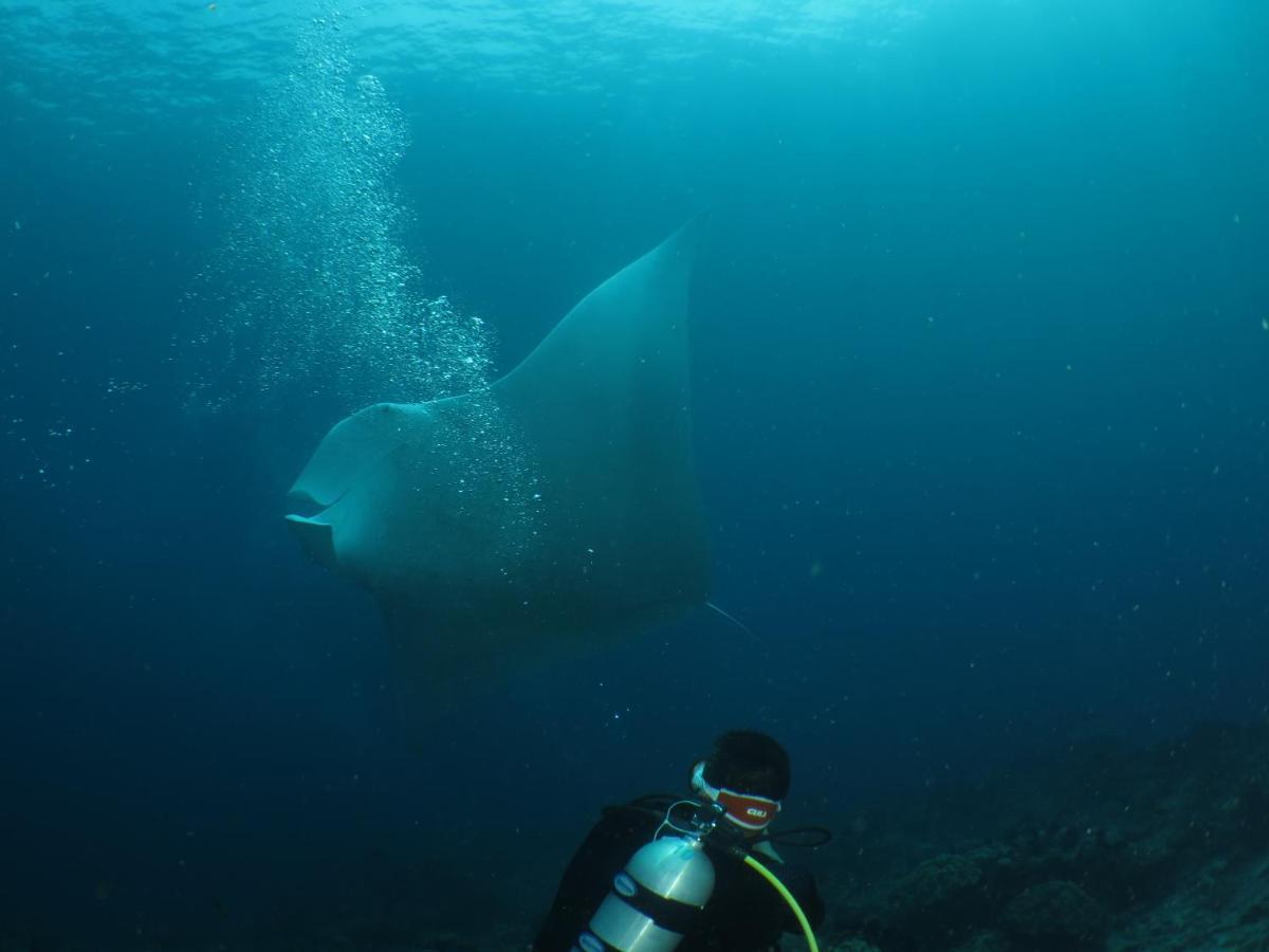 Hamueco Dive Resort Raja Ampat Rabia Exterior foto