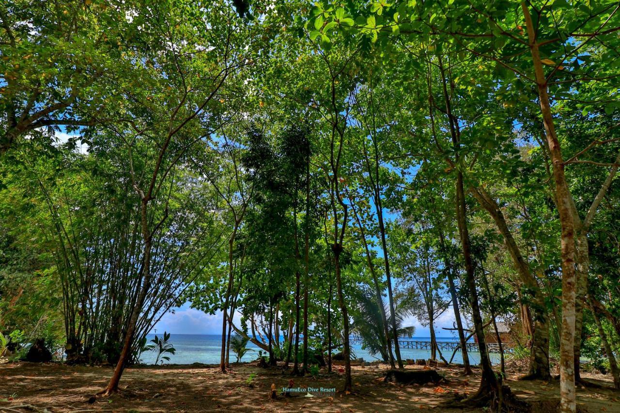 Hamueco Dive Resort Raja Ampat Rabia Exterior foto